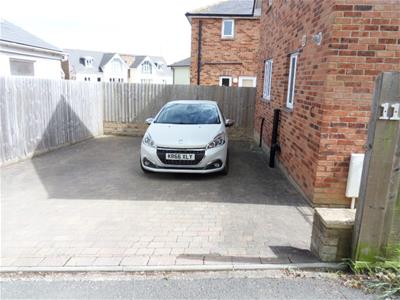 Picture 15